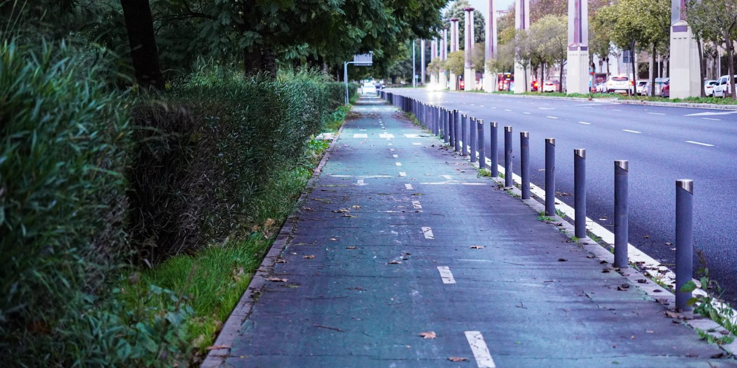 A segregated cycle lane running alongside a tree-lined city street, separated from traffic and the pavement, with cyclists riding in the distance.