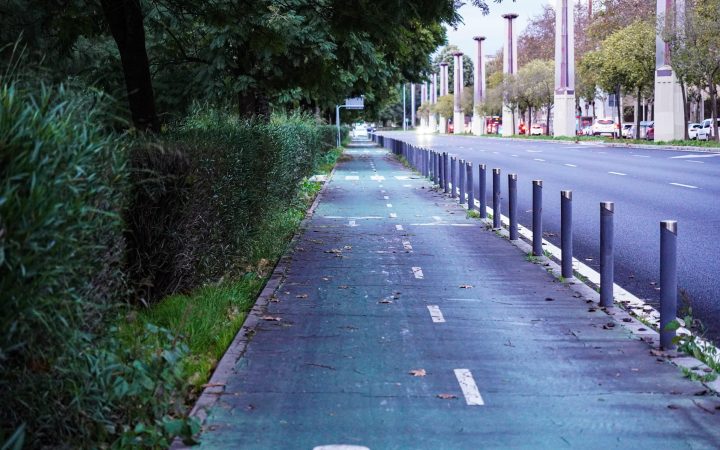 A segregated cycle lane running alongside a tree-lined city street, separated from traffic and the pavement, with cyclists riding in the distance.