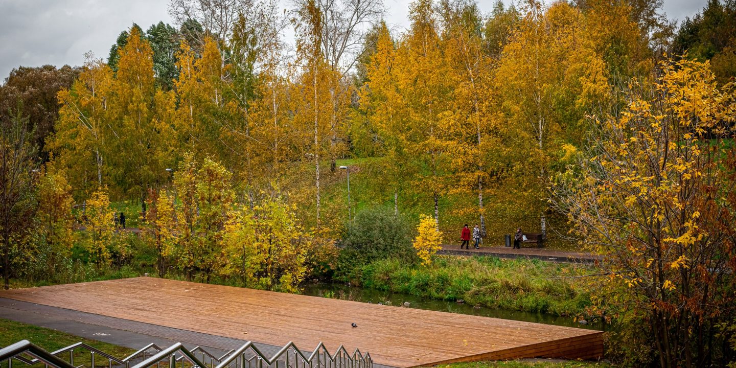 A park in autumn colour with a timber deck and wide steps beside the water and paths running under golden trees.