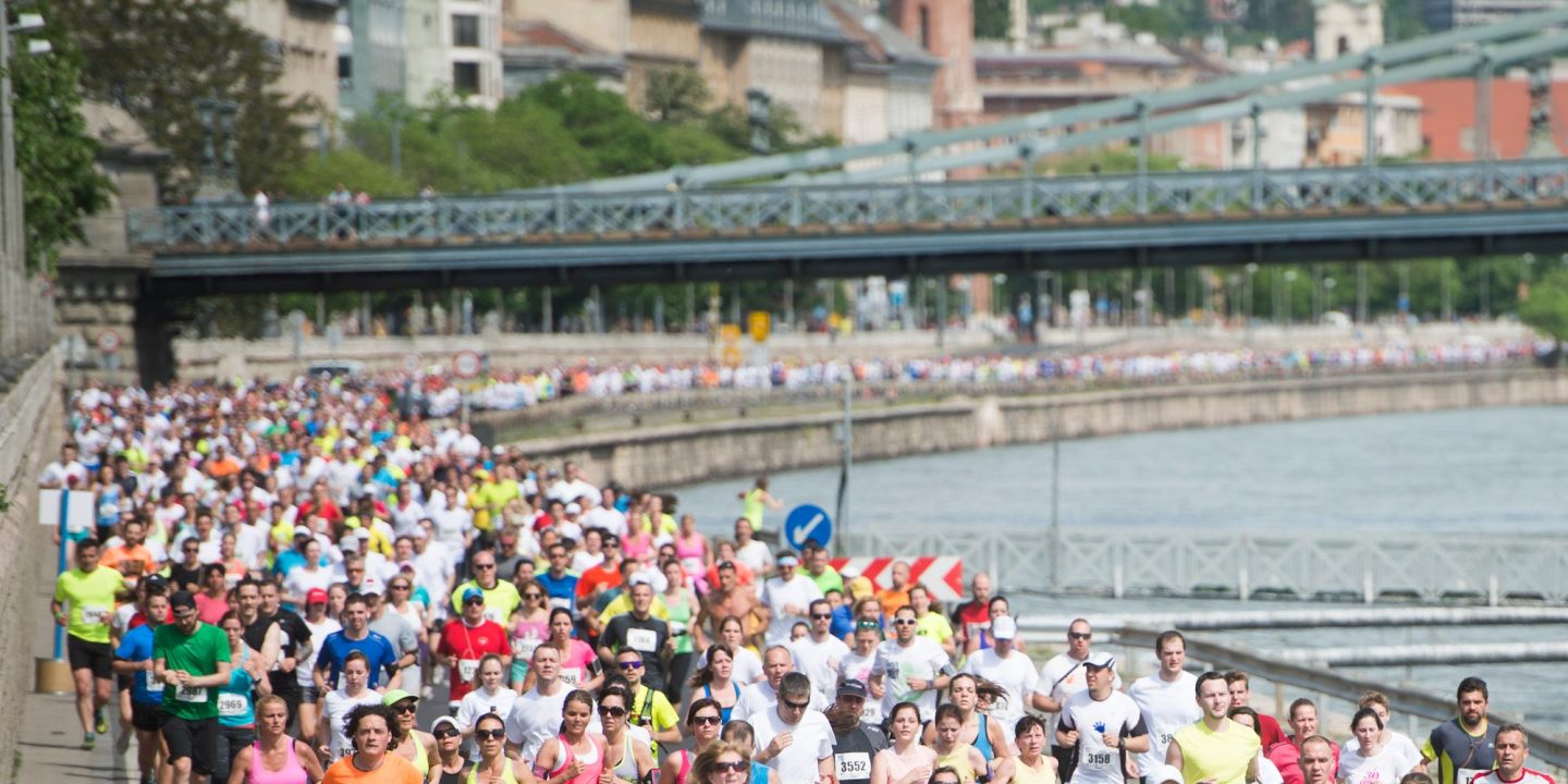 Hundreds of runners in a city race streaming along a riverside road, seen from a distance.
