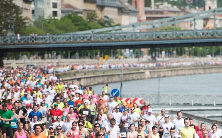 Hundreds of runners in a city race streaming along a riverside road, seen from a distance.